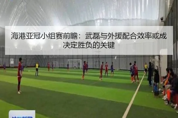 海港亚冠小组赛前瞻：武磊与外援配合效率或成决定胜负的关键